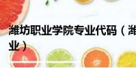 濰坊職業學院專業代碼(濰坊職業學院所有專業)