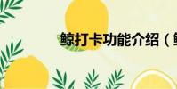 鯨打卡功能介紹(鯨打卡)