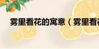 霧里看花的寓意(霧里看花有什么寓意)