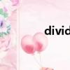 dividing wall（dividing）