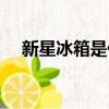 新星冰箱是什么品牌（星星冰箱怎么樣）