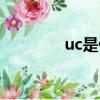 uc是什么意思（uc是什么）