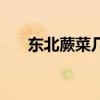 東北蕨菜幾月份可以采摘（東北蕨菜）