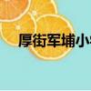 厚街軍埔小學招聘信息（厚街軍埔小學）