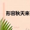 形容秋天來了的句子（秋天來了的句子）