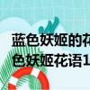 藍色妖姬的花語是什么?大概多少錢一朵?（藍色妖姬花語19朵）