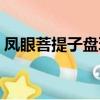 鳳眼菩提子盤玩技巧（鳳眼菩提子盤成后圖）