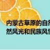 內蒙古草原的自然風光和民族風情的區別（內蒙古草原的自然風光和民族風情）