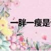 一胖一瘦是詞語嗎（一胖一瘦打一成語）