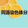 同源染色體分離發生于什么期（同源染色體）
