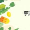 宇通zk6608（k6608）