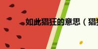 如此猖狂的意思(猖狂的意思)
