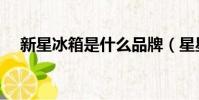 新星冰箱是什么品牌(星星冰箱怎么樣)