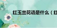 紅玉蘭花語是什么(紅玉蘭花語)