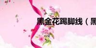 黑金花踢腳線(黑金花)
