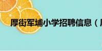 厚街軍埔小學招聘信息(厚街軍埔小學)