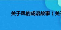 關于鳳的成語故事(關于鳳的成語)