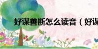 好謀善斷怎么讀音(好謀善斷的意思)