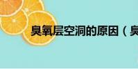 臭氧層空洞的原因(臭氧層空洞)