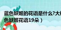 藍色妖姬的花語是什么?大概多少錢一朵?(藍色妖姬花語19朵)