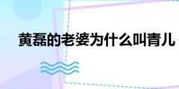 黃磊的老婆為什么叫青兒(黃磊的老婆)