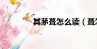 其茅葺怎么讀(葺怎么讀)