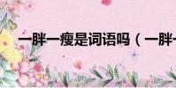一胖一瘦是詞語嗎(一胖一瘦打一成語)