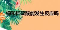 銅和稀硫酸能發生反應嗎(銅和稀硫酸)