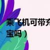 乘飛機可帶充電寶的容量（乘坐飛機能帶充電寶嗎）