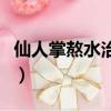 仙人掌熬水治什么病（仙人掌煮水喝能治啥病）