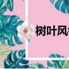 樹葉風鈴怎么做（風鈴怎么做）