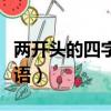 兩開頭的四字成語形容朋友（兩開頭的四字成語）