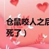 倉鼠咬人之后倉鼠會死嗎（倉鼠咬人后為什么死了）