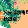 公安部禁毒局局長級別劃分（公安部禁毒局局長級別）