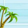 pbi材料（pbi）
