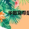 華數寬帶是移動還是電信（華數寬帶）