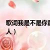 歌詞我是不是你最疼愛的那個人（我是不是你最疼愛的那個人）