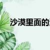 沙漠里面的海子（沙漠里的海子是什么）