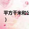 平方千米和公頃的進率（平方米和公頃的進率）