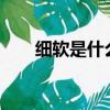 細軟是什么意思?（細軟是什么意思）