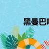 黑曼巴吵鬧變形視頻（黑曼巴c）
