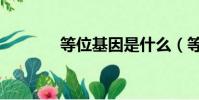 等位基因是什么(等位基因)