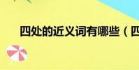 四處的近義詞有哪些(四處的近義詞)
