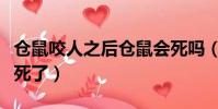 倉鼠咬人之后倉鼠會死嗎(倉鼠咬人后為什么死了)