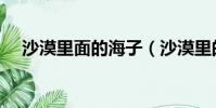 沙漠里面的海子(沙漠里的海子是什么)