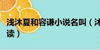 淺沐夏和容謙小說名叫(沐淺夏和容謙免費閱讀)