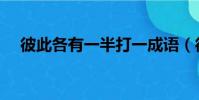 彼此各有一半打一成語(彼此各有一半)