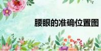 腰眼的準確位置圖(腰眼)
