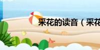 采花的讀音(采花拼音)