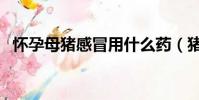 懷孕母豬感冒用什么藥(豬感冒用什么藥)